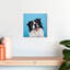Crowle Happy Border Collie-111886979