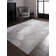 Caydren Grey/Beige/Cream Area Rug