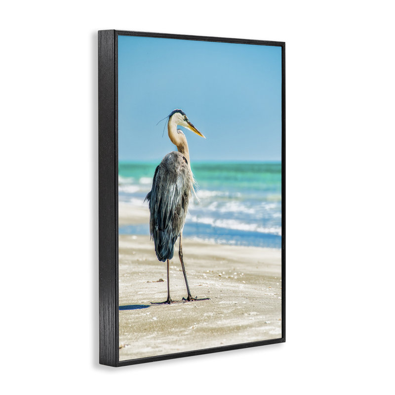 Art giclée d'oiseaux de plage réfléchissants par Mary Lou Johnson, Giclée encadrée noir minuit, H 24 po x l 16 po