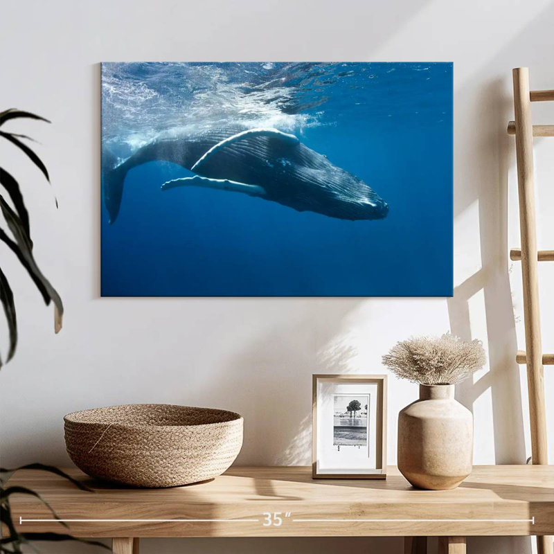 Brampt Humpback Whale, 16" H x 24" W