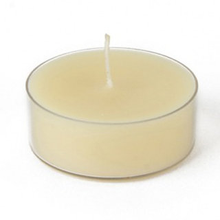 Unscented Tealight Candle with Plastic Holder, Ivory, Set of 12