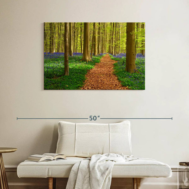 Alvord Hallerbos Beech Path