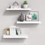 Raahul 3 Piece Floating Shelf
