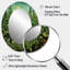 Miroir mural Herbs-1746021405