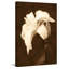 Petal Profusion by Leda Robertson - Wrapped Canvas Print-1150154541