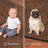 Furnish My Place Modern Plush Pet and Kids Friendly Solid Color Brown Area Rugs, Stain & Fade Resistance, Perfect for Living Room, Dining Room, Bedroom, Playroom and Kidsroom, Event, Wedding Rug-242197051