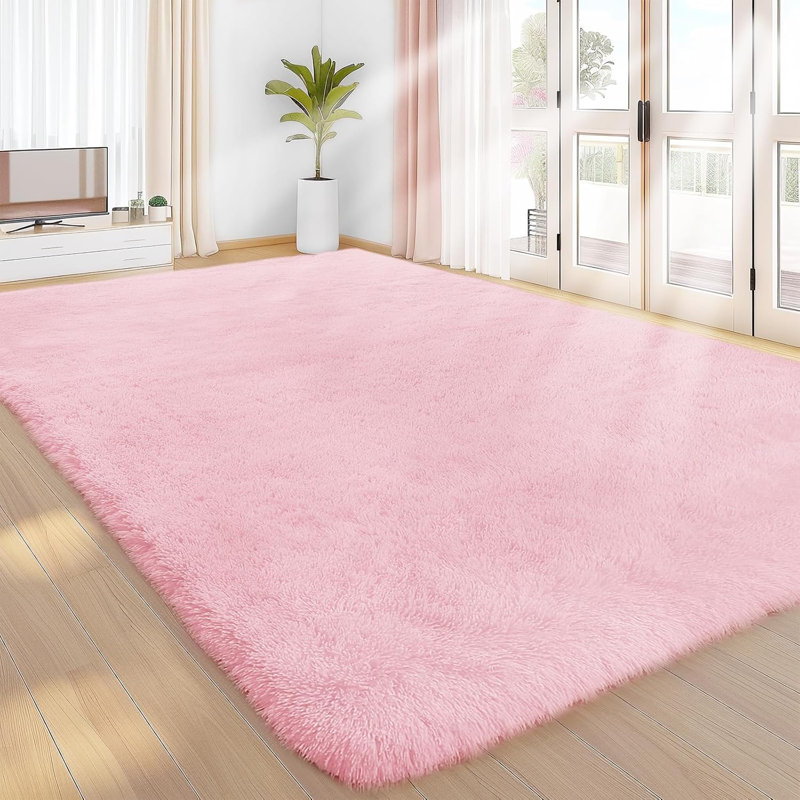 Area Rugs Living Room, Large Area Rug Shag Shaggy Carpet Soft Plush Furry Bedside Rugs,  Area Rugs for Bedroom Kids Girls Boys Home Decor Anti Slip