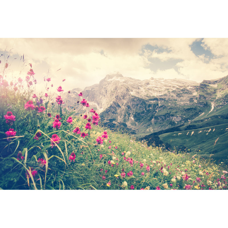 Fleurs dans les Alpes par Everste - Photographie sur toile tendue, L 30 po x H 20 po
