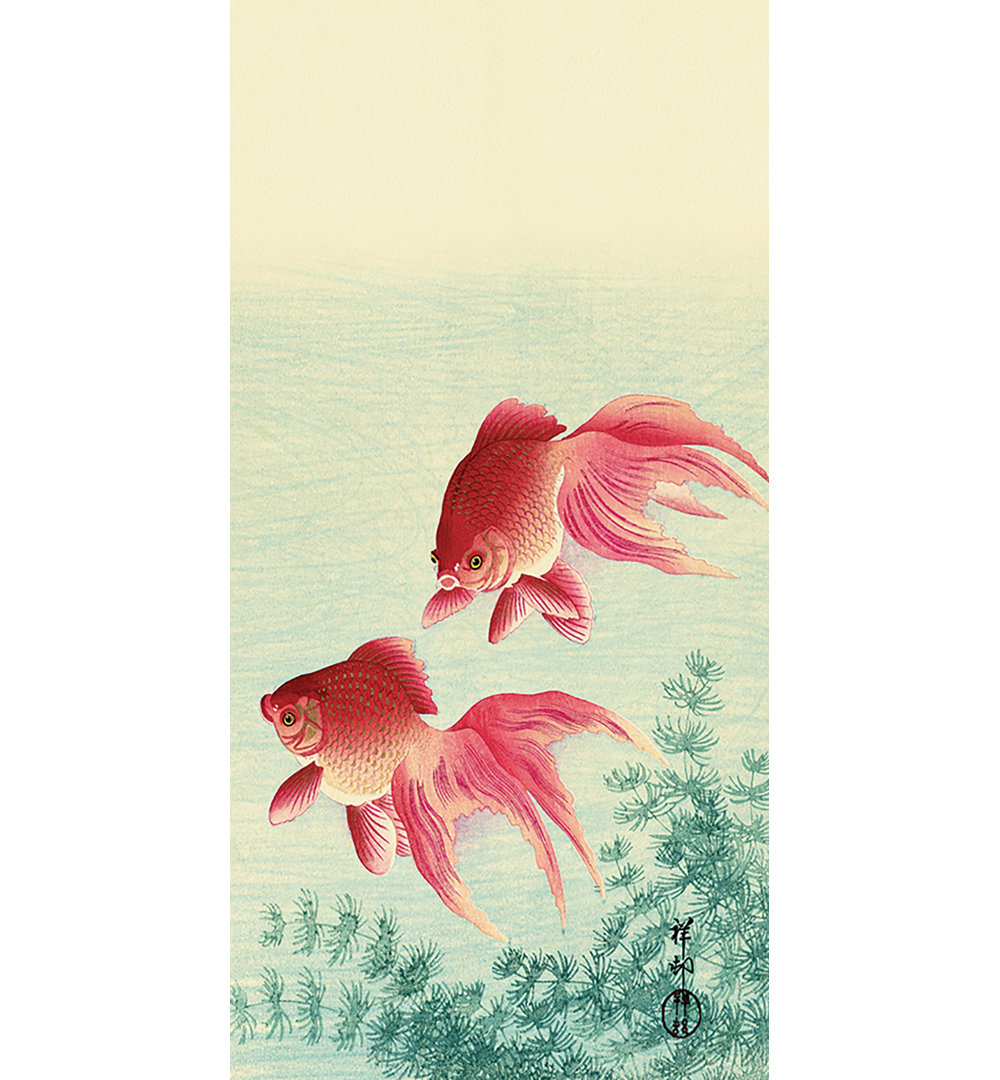 Two Veil Goldfish by Ohara Koson - Wrapped Canvas Painting