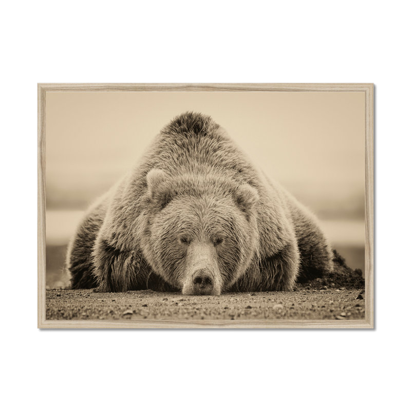 Deep Sleep by PHBurchett - Print, 34cm H x 50cm W, Natural Wood Framed Paper Print