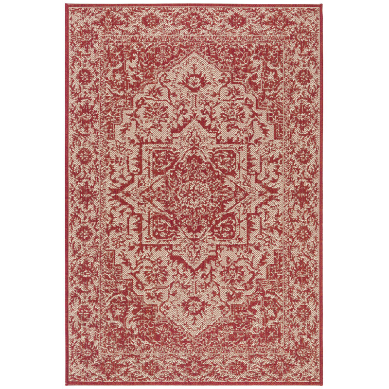 Danya Red/Cream Indoor/Outdoor Area Rug, Rectangle 4' x 6'