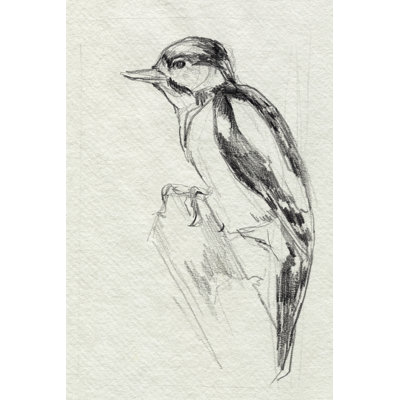" Woodpecker Sketch I " Painting Print