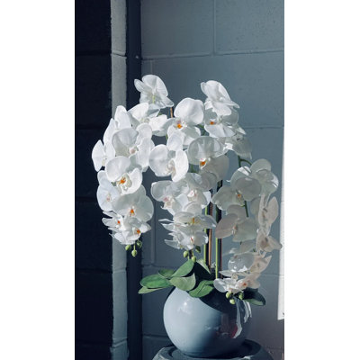 Faux White Orchids In Gloss Bowl