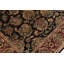 Wool Oriental Area Rug