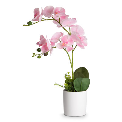 Silk Orchid Arrangement In Pot