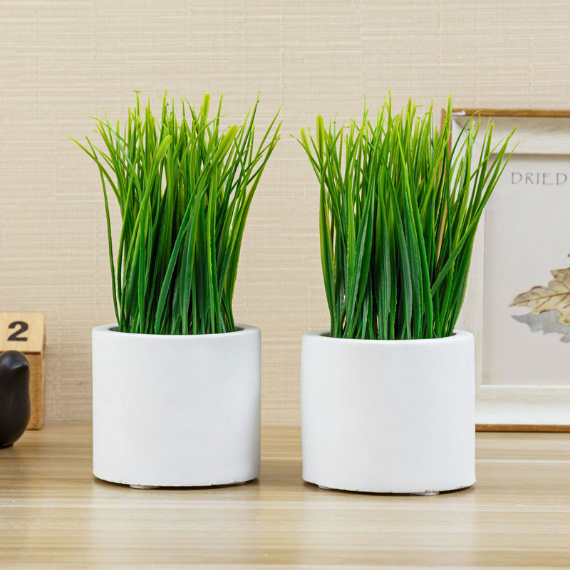 Set of 2 Faux Green Grass in White Cement Round Pots