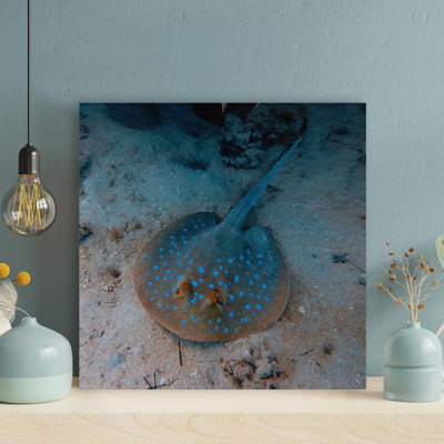" Gray Stingray Underwater " Painting Print