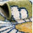 Saegertown Floral Indoor Rug-253196973