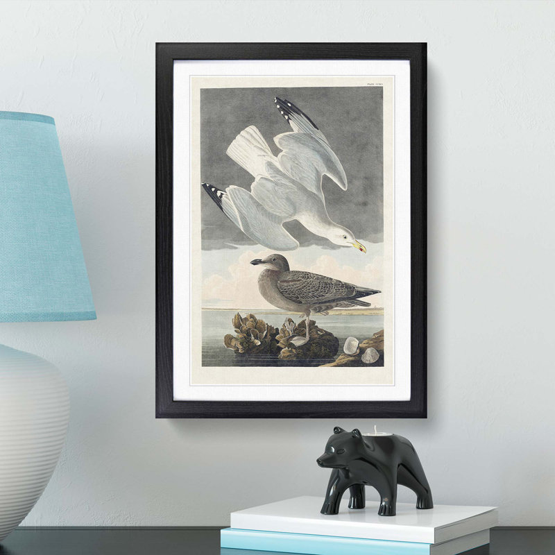 Herring Gulls by John Audubon - Picture Frame Painting Print, 65cm H x 48cm W x 2cm D, Black Framed