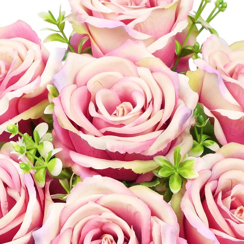 Roses, buissons, Rose fuchsia