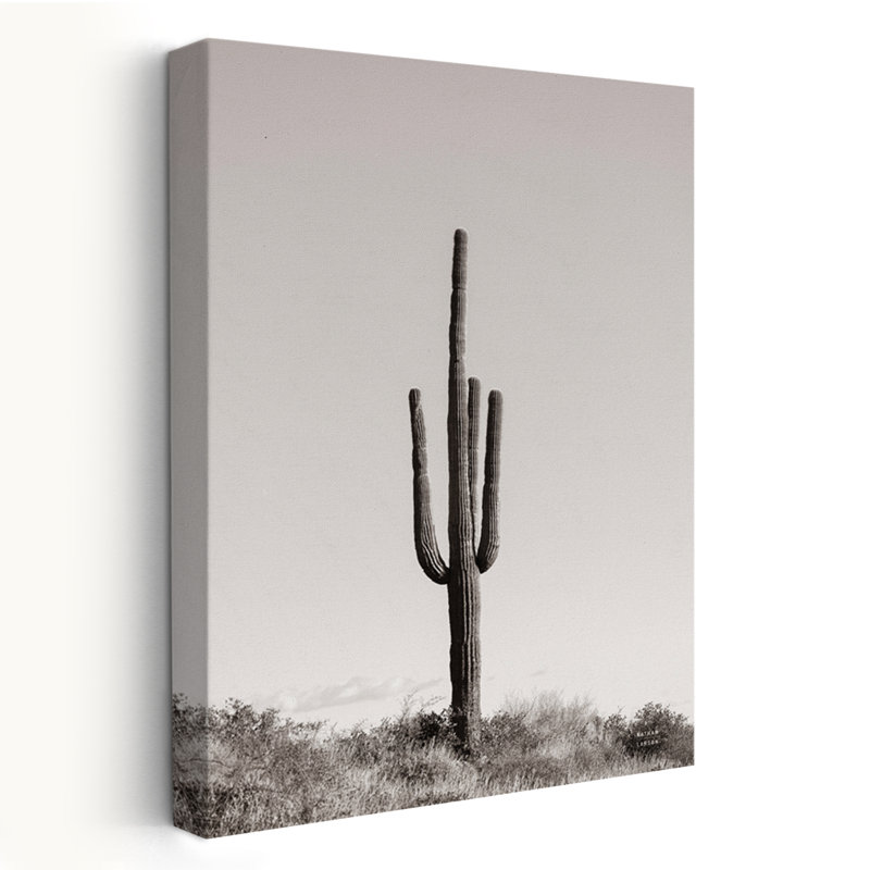 Modern Rustic And Rustic Saguaro Afternoon, 24" H x 16" W