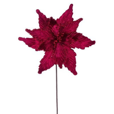 Cliffo Poinsettia Arrangement