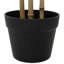 Plant-129932158-129932162