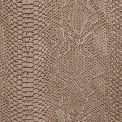 Amazon Fabric
