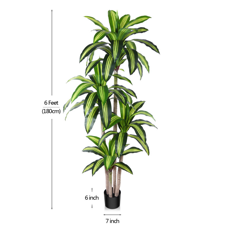 Adcock Artificial Dracaena Tree in Pot, 71" H x 48" W x 48" D