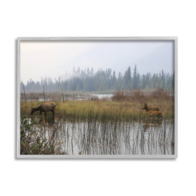 «Animals Grazing Creek», art de la giclée par Carol Robinson