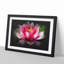 Pink Water Lily Flower Vol.3 - Picture Frame Graphic Art-62804093-62804092