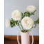 Cream Silk Ranunculus 21”