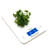 Ozeri Digital Scale-28906807