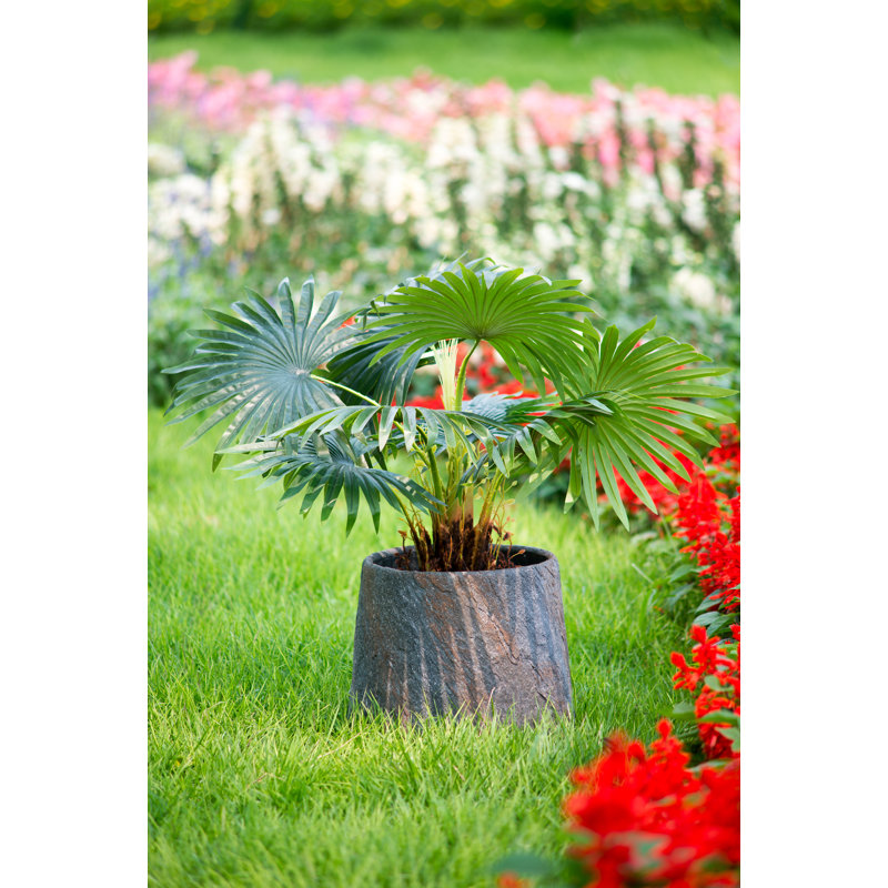 Pot Planter, 13.4" H x 14.2" W x 14.2" D