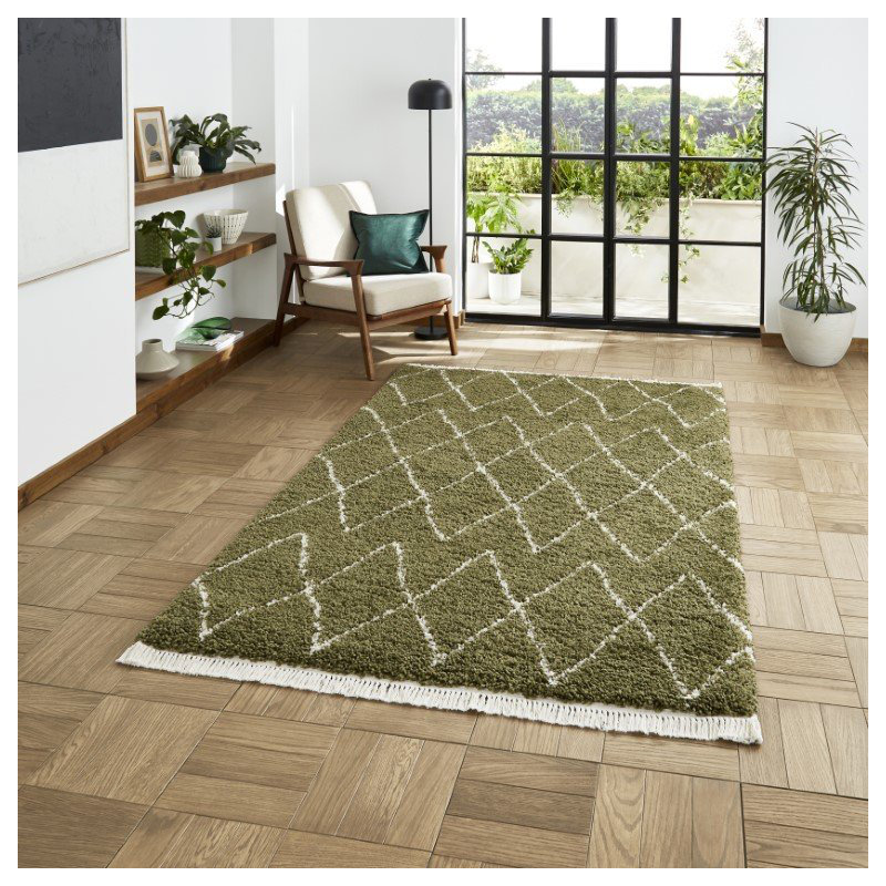 Pechler area rug Machine Woven Green, Rectangle 160 x 230cm
