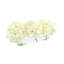 Hydrangeas Arranged in Oval Vase-1772597359