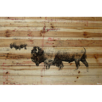 " Bison Herd Walk " by Parvez Taj
