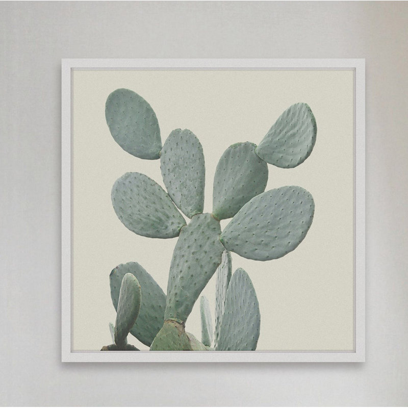 Single Picture Frame Print, 41cm H x 41cm W