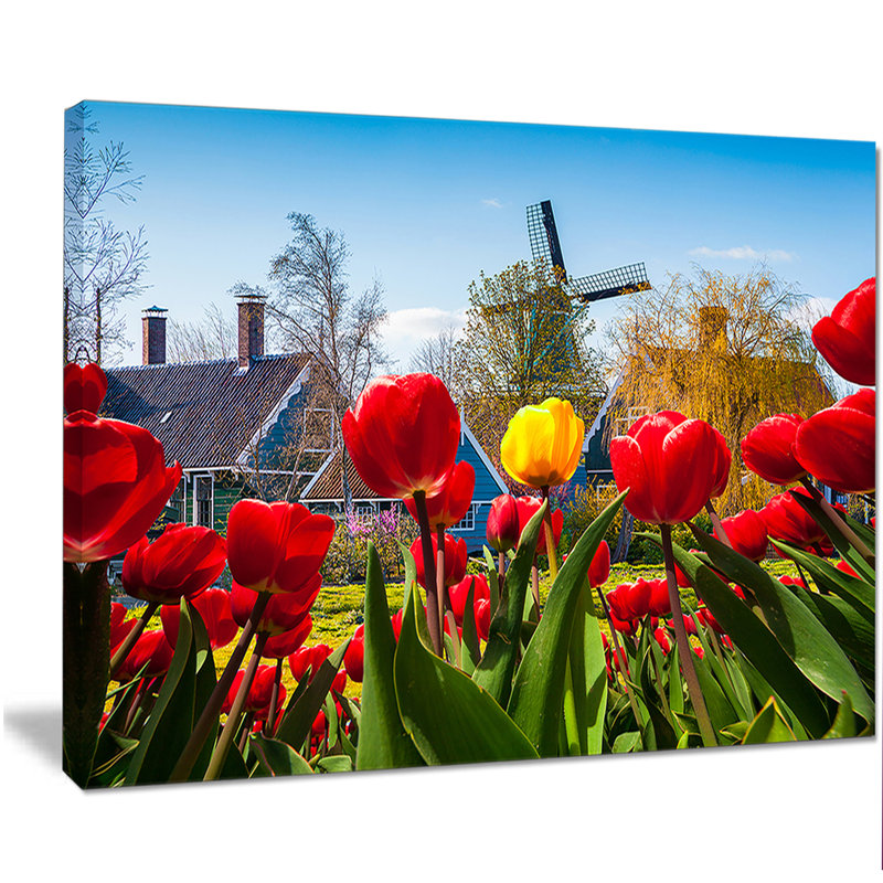 " Tulips In The Netherlands Village ", 12" H x 20" W