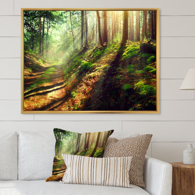 Sun Rays In Misty Old Forest IV - Art sur toile traditionnel