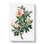 Pink Chinese Azalea Flowers - Wrapped Canvas-55324812