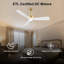 52 Inch Ceiling Fan with Lights and Remote Control-1508716031-1508716018