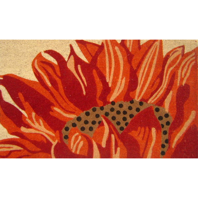 Tapis de porte d’extérieur anti-dérapant 30" x 18" en pvc tournesol Menzel
