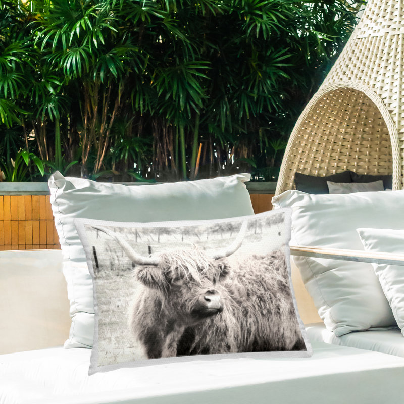 Coussin Highland Cow Gazing Portrait