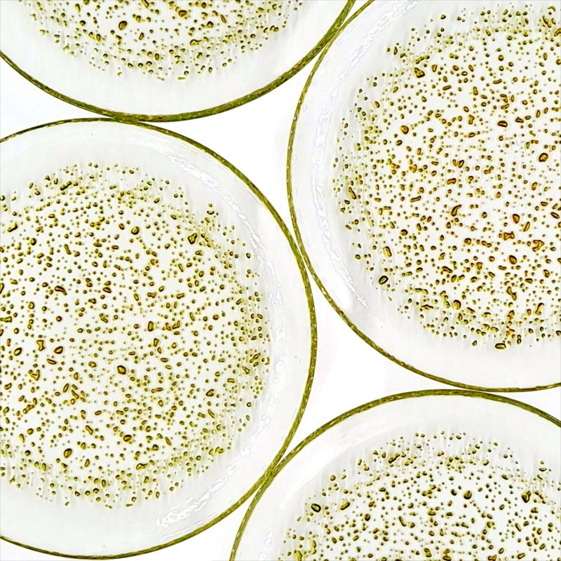 Isla 8.5" Salad or Dessert Plate, Clear/Gold