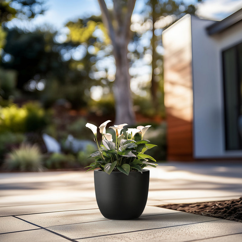 Larney Handmade Pot Planter, 11.81" H x 13.78" W x 13.78" D, Charcoal Black