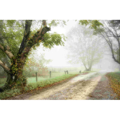 Feel The Silence