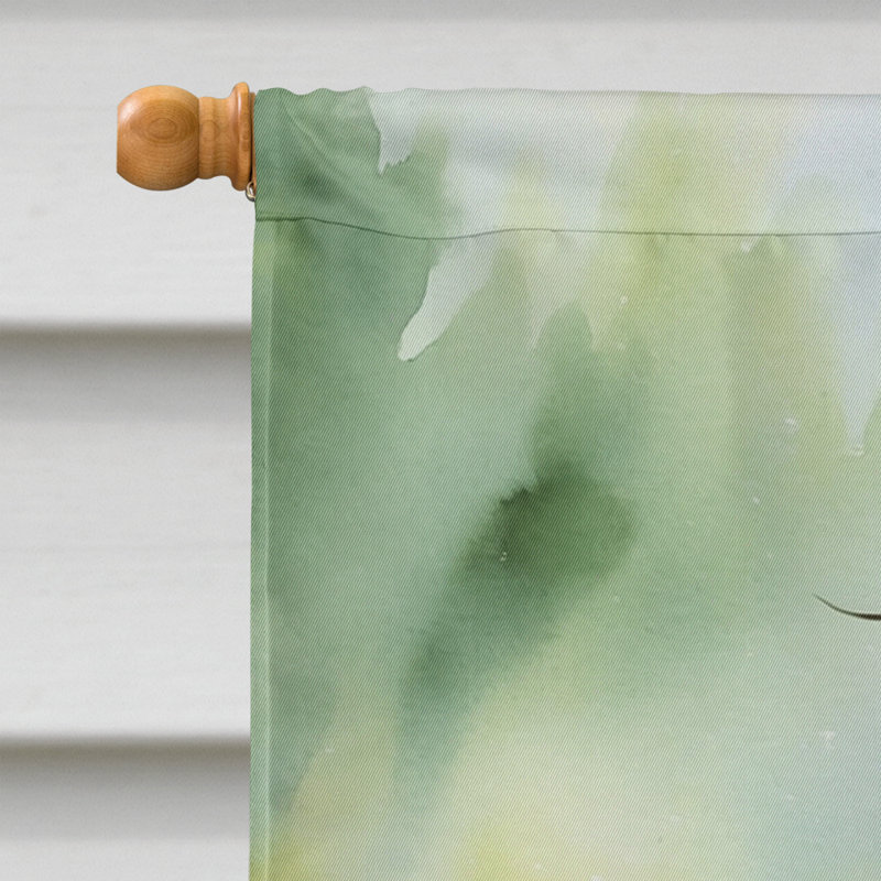  Drapeau de la maison d'oiseaux, Avocette d'Amérique