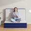 Matelas de 4 po en mousse viscoélastique gélifiée, grand, portatif et pliable avec housse amovible-1884060032-1884060035