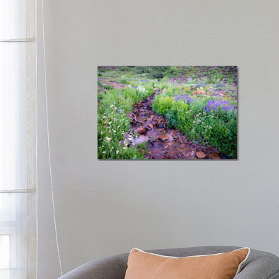 Field Of Beauty L by Dan Ballard - Wrapped Canvas Print